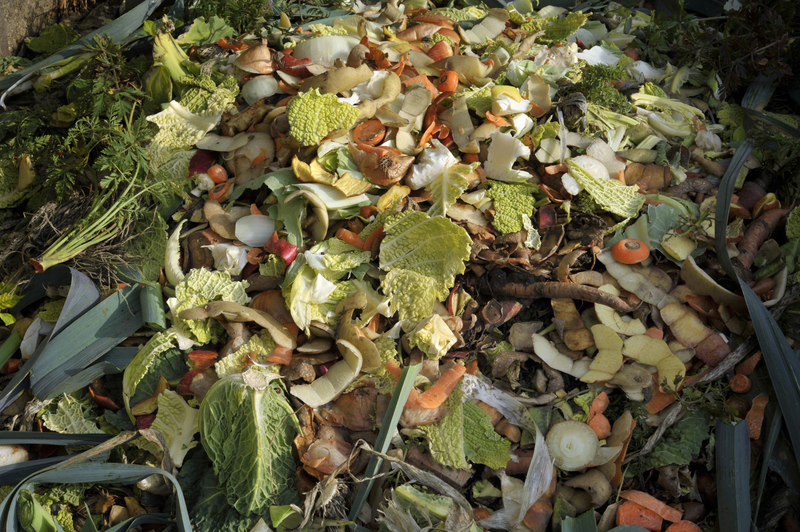 Rubbish removal rubbish disposal